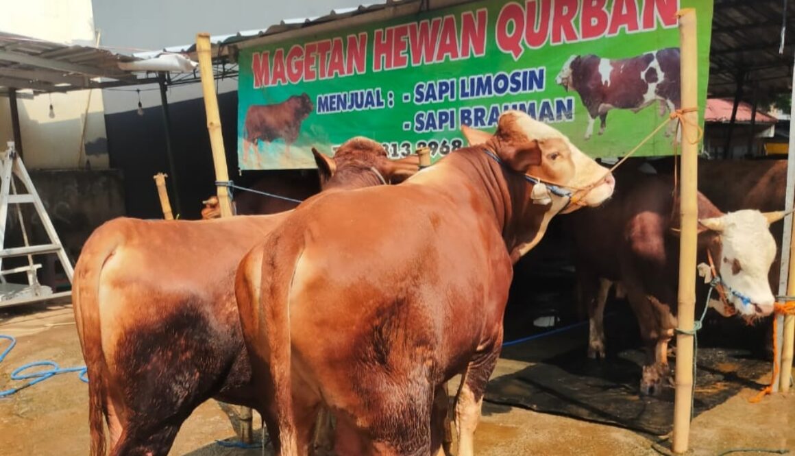 Perayaan idul adha 2023 5