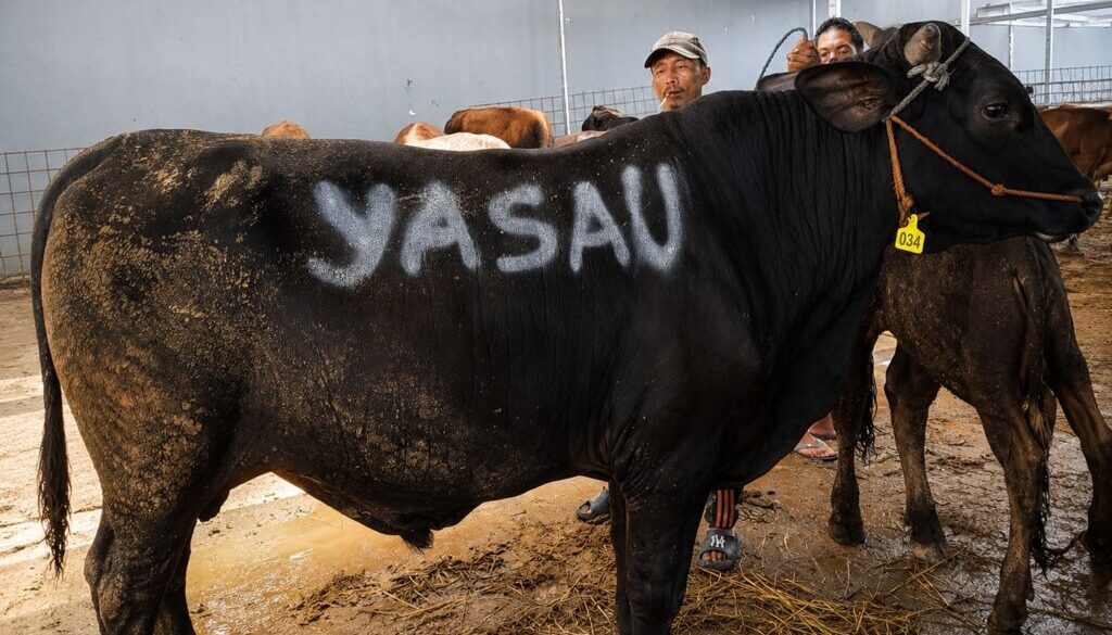 Yasau Serahkan Hewan Qurban, Implementasi Penguatan Nilai Kemanusiaan danKeteladanan