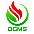 pt dgms